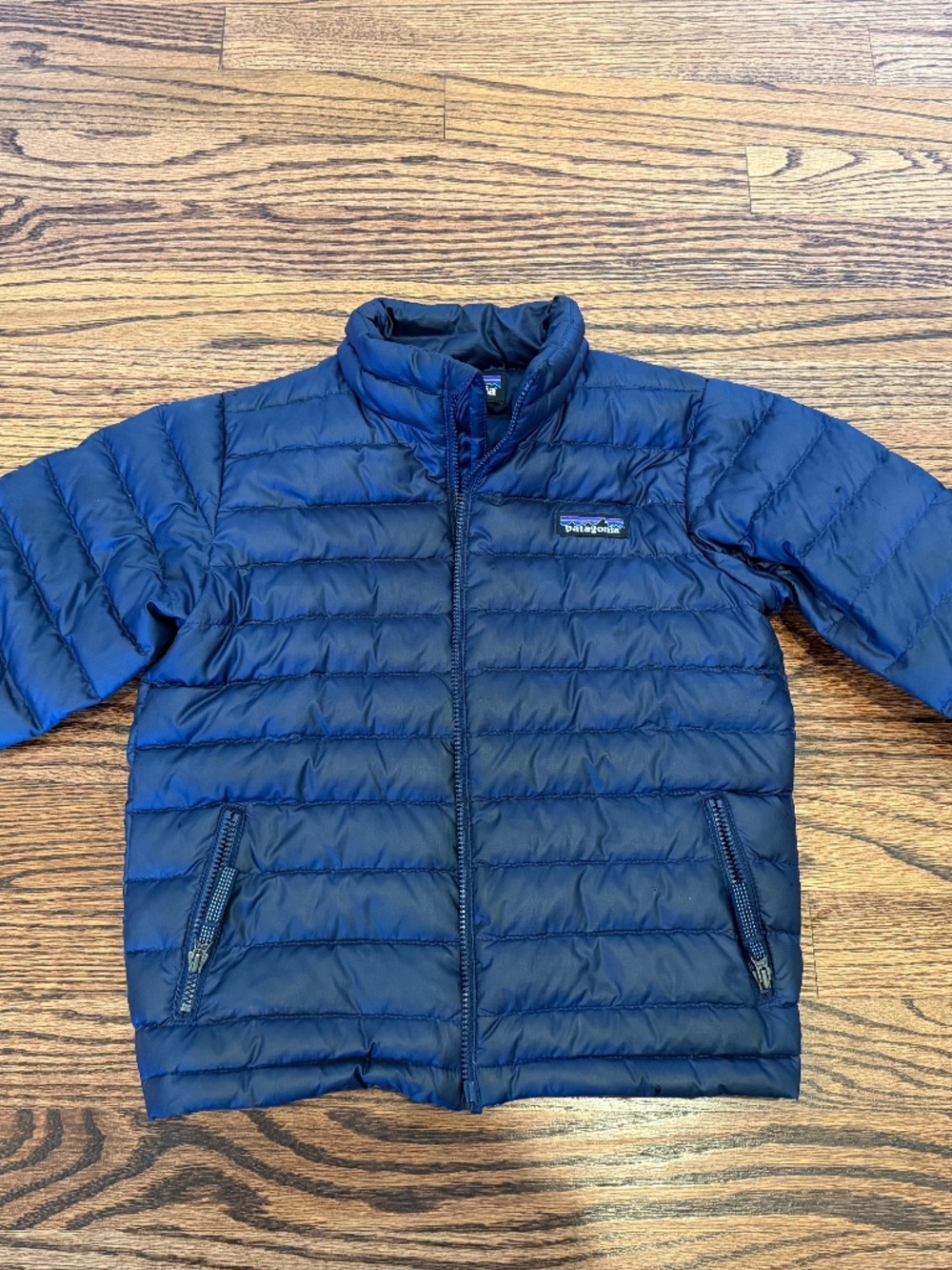 Patagonia puffer jacket
